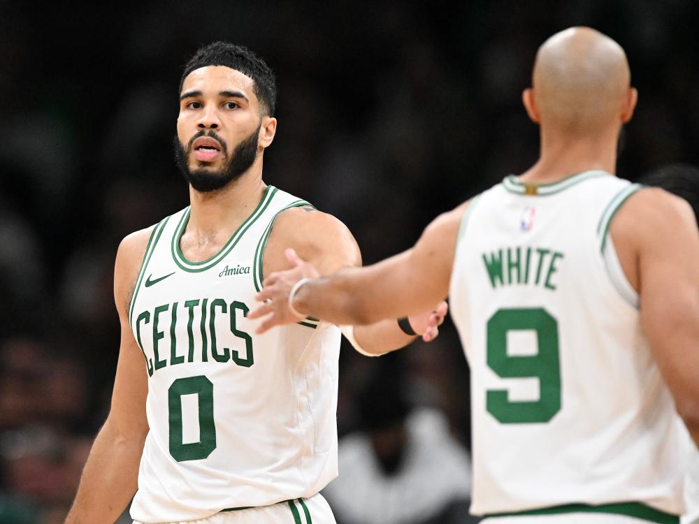 任为双方提 任为双方提